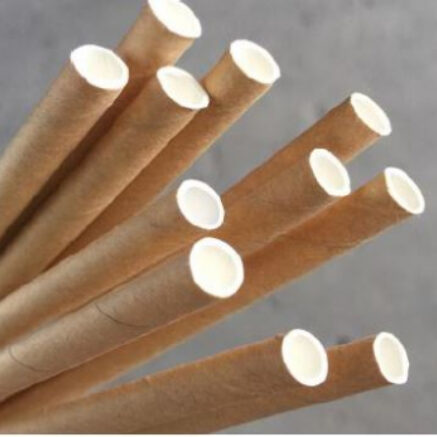 Straws Eco Bio Paper Cocktail Size